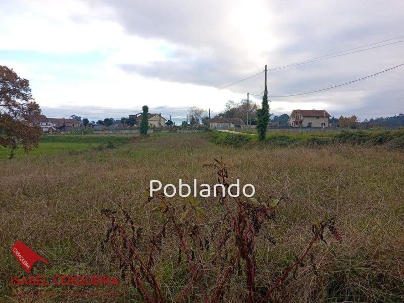 TERRENO URBANIZABLE DE 1.126 m² EN TOMIÑO — foto 4