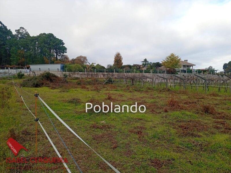 TERRENO URBANIZABLE DE 1.288 m² EN TOMIÑO — foto 1