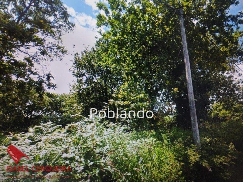 TERRENO EDIFICABLE DE 1.457 M² EN O ROSAL – AMPLIO, SOLEADO Y CON GRANDES POSIBILIDADES — foto 3