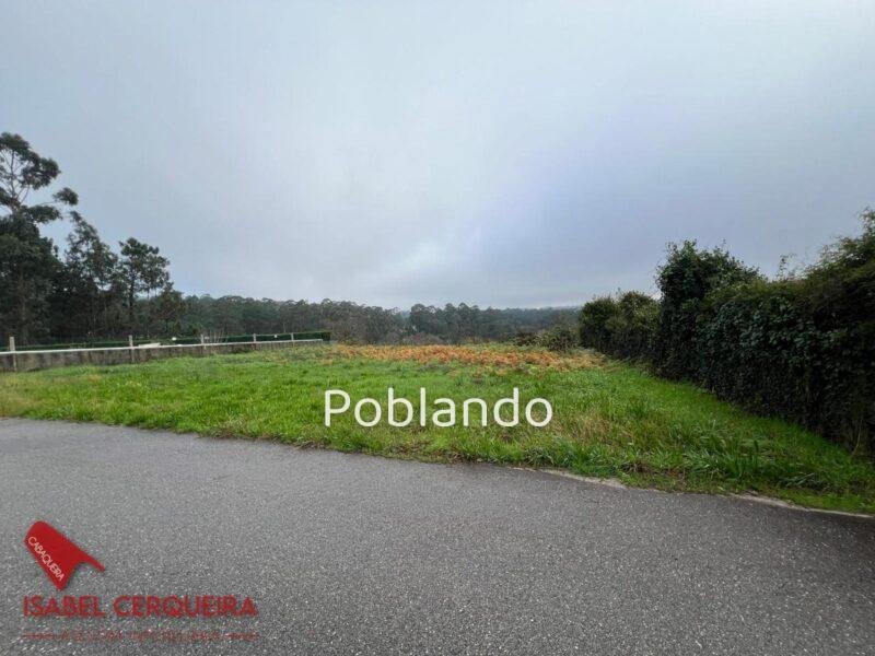 TERRENO EDIFICABLE DE 620 M² ENTRE TUI Y TOMIÑO – 248 M² EDIFICABLES Y POZO PROPIO — foto 6