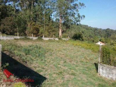 TERRENO EDIFICABLE DE 620 M² ENTRE TUI Y TOMIÑO - 248 M² EDIFICABLES Y POZO PROPIO