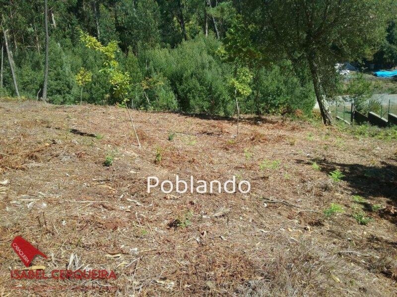 TERRENO EDIFICABLE EN TABAGÓN | O ROSAL - 1.554 M² DE PARCELA Y 600 M² EDIFICABLES