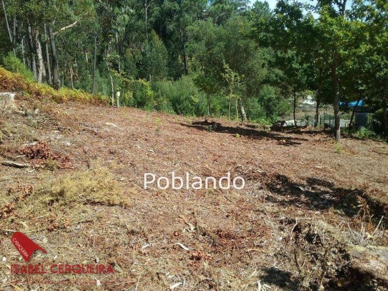 TERRENO EDIFICABLE EN TABAGÓN | O ROSAL – 1.554 M² DE PARCELA Y 600 M² EDIFICABLES — foto 5
