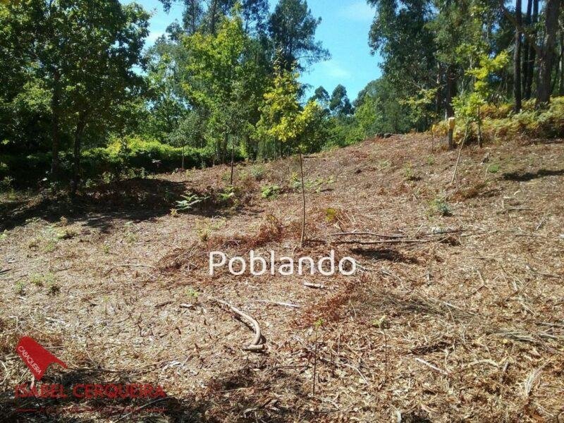 TERRENO EDIFICABLE EN TABAGÓN | O ROSAL - 1.554 M² DE PARCELA Y 600 M² EDIFICABLES