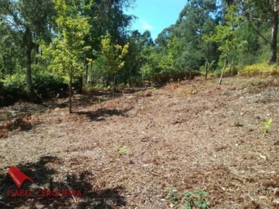 TERRENO EDIFICABLE EN TABAGÓN | O ROSAL - 1.554 M² DE PARCELA Y 600 M² EDIFICABLES