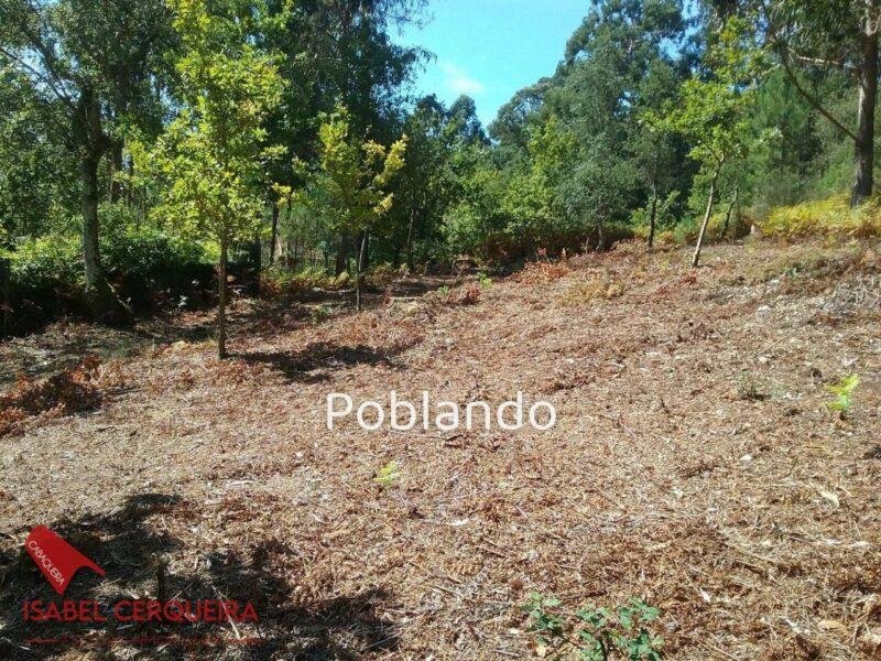 TERRENO EDIFICABLE EN TABAGÓN | O ROSAL – 1.554 M² DE PARCELA Y 600 M² EDIFICABLES — foto 7