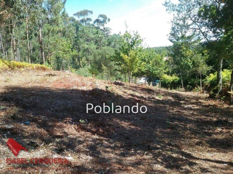TERRENO EDIFICABLE EN TABAGÓN | O ROSAL – 1.554 M² DE PARCELA Y 600 M² EDIFICABLES — foto 8