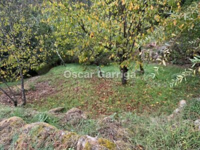 SE VENDE EN CIMA DE BARRA - A PEROXA (OURENSE)