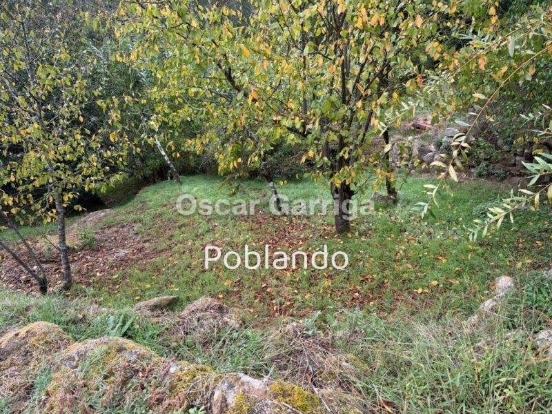 SE VENDE EN CIMA DE BARRA - A PEROXA (OURENSE)