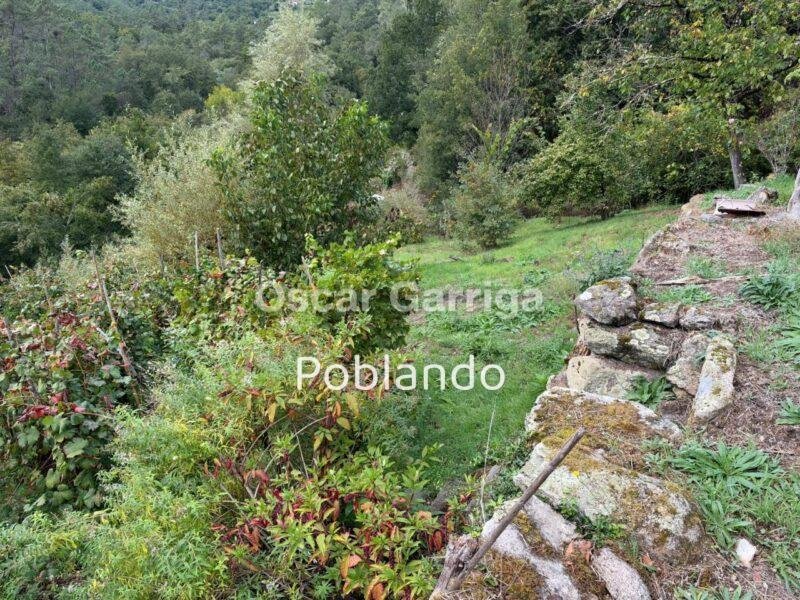 SE VENDE EN CIMA DE BARRA - A PEROXA (OURENSE)