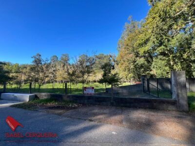 TERRENO NO EDIFICABLE DE 2.816 M² EN O ROSAL | CERRADO Y CON POZO