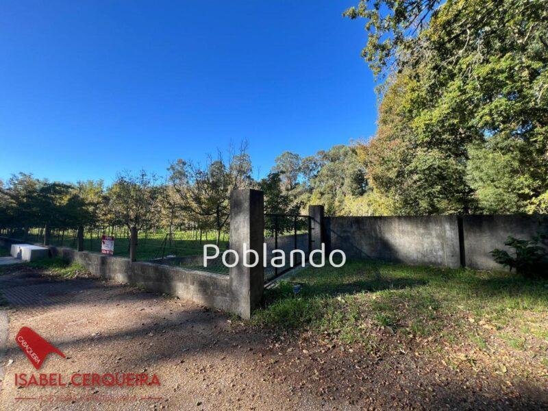 TERRENO NO EDIFICABLE DE 2.816 M² EN O ROSAL | CERRADO Y CON POZO