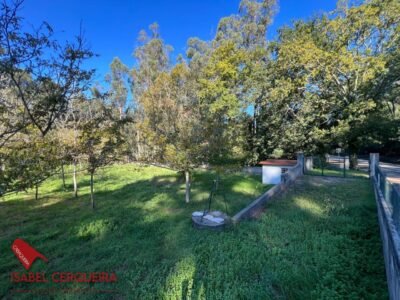 TERRENO NO EDIFICABLE DE 2.816 M² EN O ROSAL | CERRADO Y CON POZO