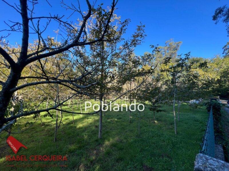 TERRENO NO EDIFICABLE DE 2.816 M² EN O ROSAL | CERRADO Y CON POZO