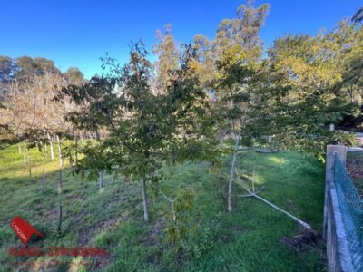 TERRENO NO EDIFICABLE DE 2.816 M² EN O ROSAL | CERRADO Y CON POZO