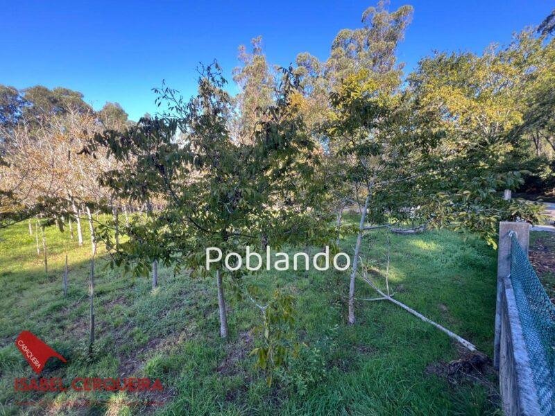 TERRENO NO EDIFICABLE DE 2.816 M² EN O ROSAL | CERRADO Y CON POZO