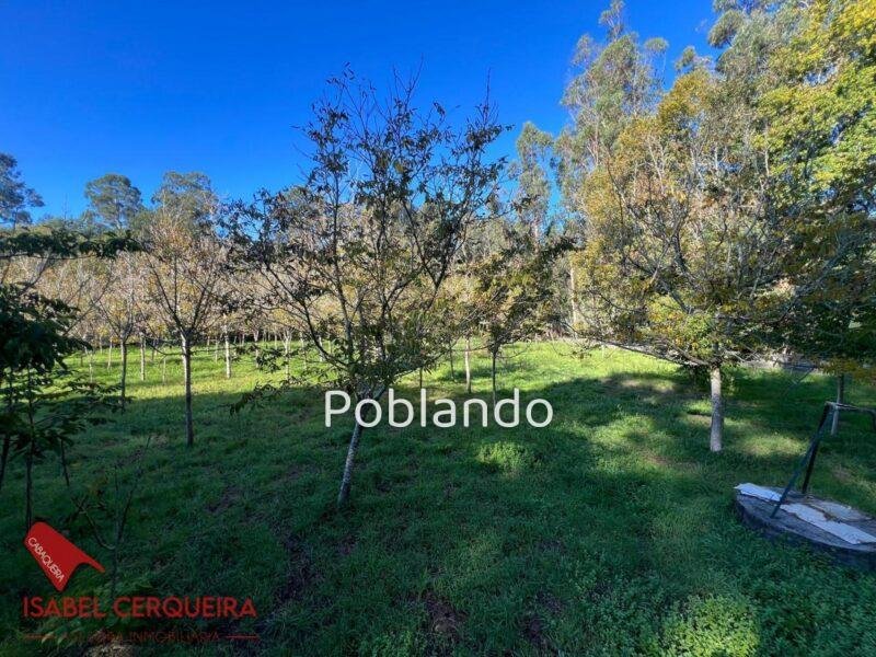 TERRENO NO EDIFICABLE DE 2.816 M² EN O ROSAL | CERRADO Y CON POZO