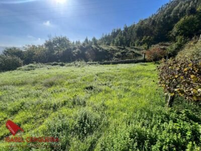 TERRENO URBANO DE 821 m² EN TEBRA, TOMIÑO · LLANO, SOLEADO Y CON POTENCIAL PARA CONSTRUIR