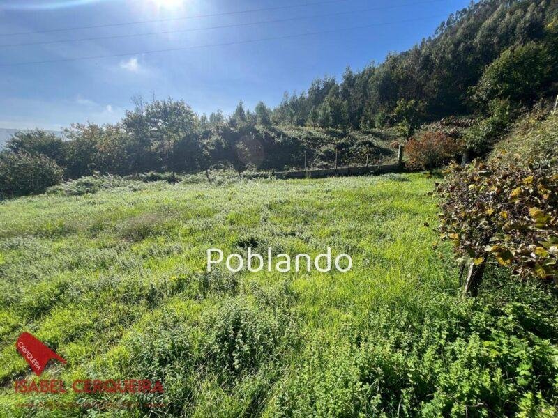 TERRENO URBANO DE 821 m² EN TEBRA, TOMIÑO · LLANO, SOLEADO Y CON POTENCIAL PARA CONSTRUIR — foto 5