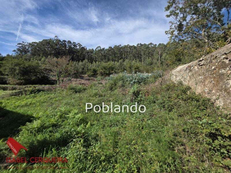 FINCA SEÑORIAL EN A GUARDA | 6.249 m², 636 m² CONSTRUIDOS Y VISTAS ESPECTACULARES AL MIÑO Y PORTUGAL