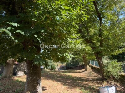 ¡SE VENDE UN EXTRAORDINARIO PACK INMOBILIARIO EN PLENA GALICIA RURAL! FONTELAVADOIRA / VILANOVA - RODEIRO (PONTEVEDRA)