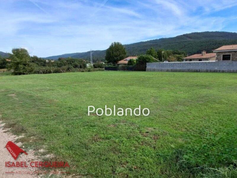 ¡OPORTUNIDAD EN O ROSAL! PARCELA EDIFICABLE DE 1.462 m², LLANA Y A 1 MINUTO DEL CENTRO – 57.000 € — foto 1