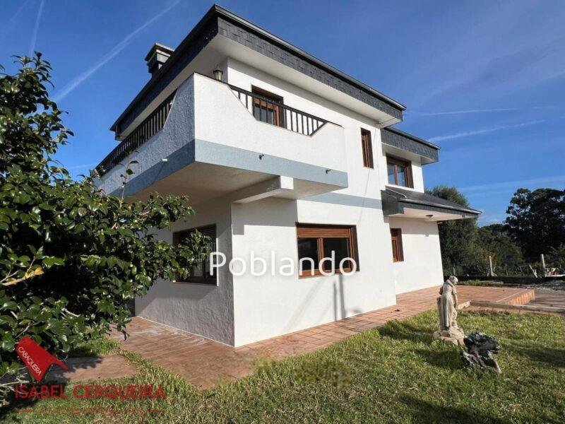 CHALET CON PISCINA, VIÑEDO, GRAN GARAJE Y CASA DE PIEDRA