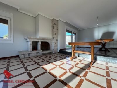 CHALET CON PISCINA, VIÑEDO, GRAN GARAJE Y CASA DE PIEDRA