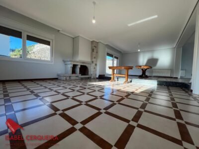 CHALET CON PISCINA, VIÑEDO, GRAN GARAJE Y CASA DE PIEDRA