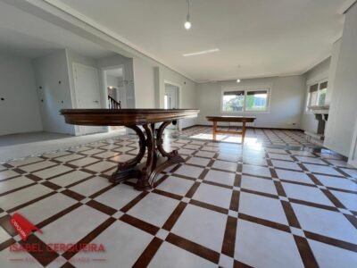 CHALET CON PISCINA, VIÑEDO, GRAN GARAJE Y CASA DE PIEDRA