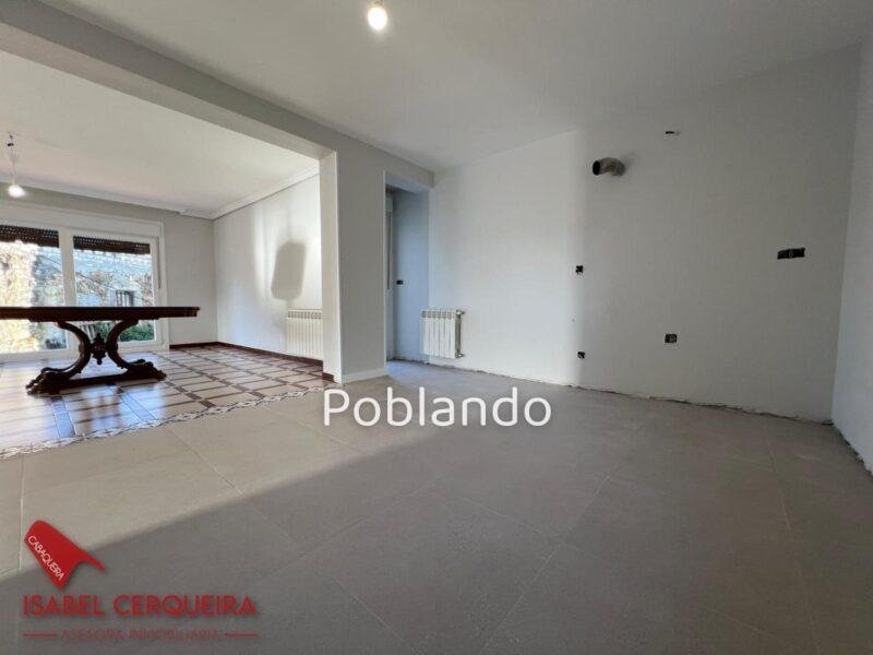 CHALET CON PISCINA, VIÑEDO, GRAN GARAJE Y CASA DE PIEDRA