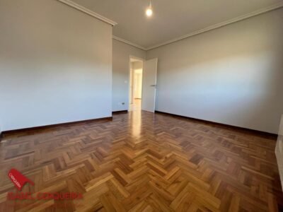 CHALET CON PISCINA, VIÑEDO, GRAN GARAJE Y CASA DE PIEDRA
