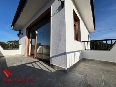 CHALET CON PISCINA, VIÑEDO, GRAN GARAJE Y CASA DE PIEDRA