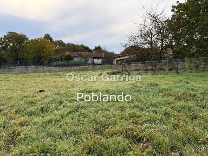 ¡SE VENDE EN FREÁS DA CANDA – PIÑOR (OURENSE)! — foto 4