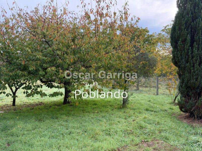 ¡SE VENDE EN FREÁS DA CANDA – PIÑOR (OURENSE)! — foto 8
