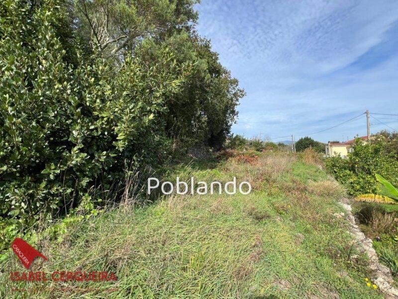 CAMPOSANCOS | 1.190 m² DE TERRENO CON 300 m² EDIFICABLES Y VISTAS AL MIÑO Y PORTUGAL — foto 5