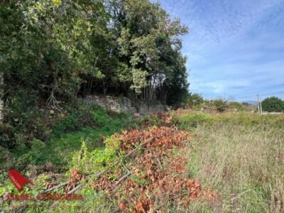 CAMPOSANCOS | 1.190 m² DE TERRENO CON 300 m² EDIFICABLES Y VISTAS AL MIÑO Y PORTUGAL