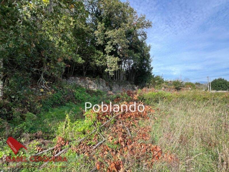 CAMPOSANCOS | 1.190 m² DE TERRENO CON 300 m² EDIFICABLES Y VISTAS AL MIÑO Y PORTUGAL — foto 4