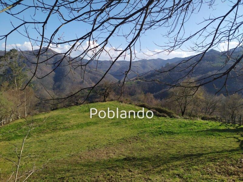 Finca rústica en Langreo, foto 1