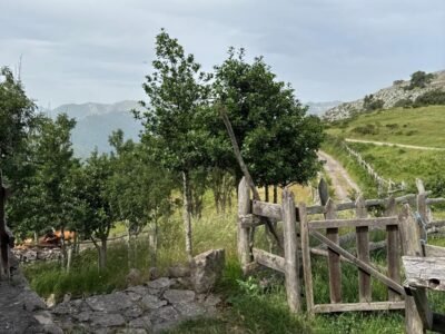 Cabaña de Montaña - Un refugio entre las nubes y los picos de Asturias