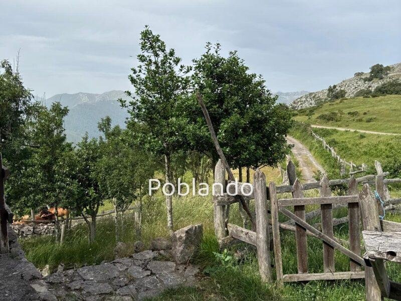 Cabaña de Montaña - Un refugio entre las nubes y los picos de Asturias