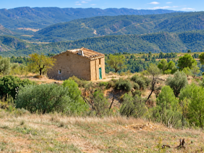 Finca de 5,5 hectáreas con almendros, olivos y posibilidad de construir vivienda – 30.000 €