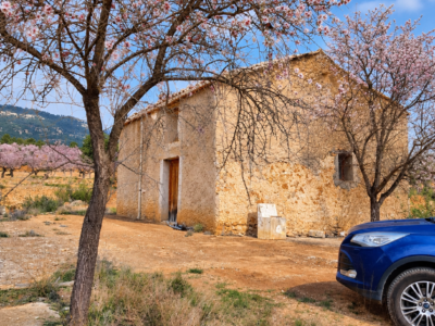 Finca de 5,5 hectáreas con almendros, olivos y posibilidad de construir vivienda – 30.000 €