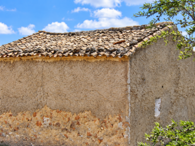 Finca de 5,5 hectáreas con almendros, olivos y posibilidad de construir vivienda – 30.000 €
