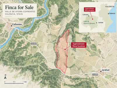 Finca de 5,5 hectáreas con almendros, olivos y posibilidad de construir vivienda – 30.000 €