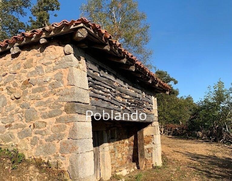 Cabaña Independiente para Reforma Integral con Terreno 1000m²