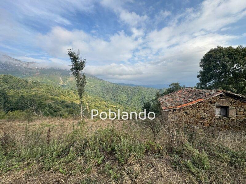 Cabaña de Piedra con Finca de 6.500 m² en Quirós