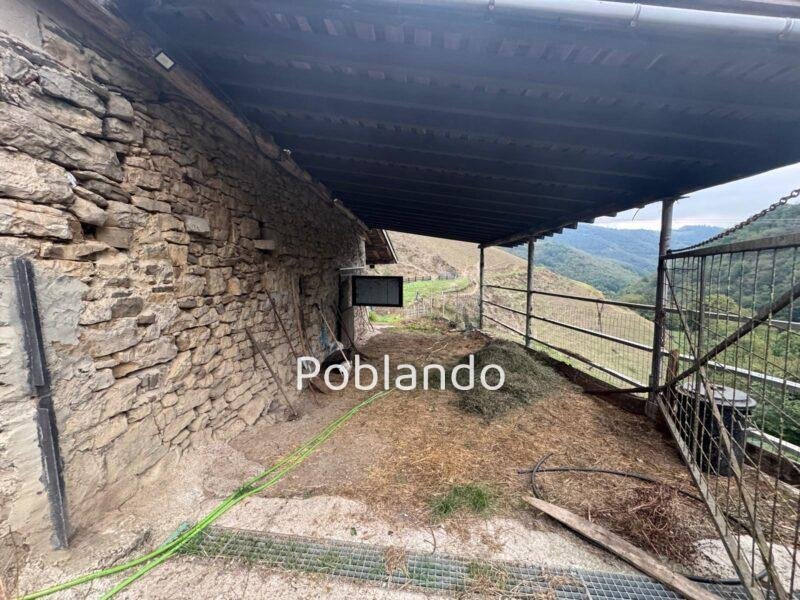 Finca de 30.000 m² con Casa y Cuadras – Oportunidad Inversora (Turismo Rural
