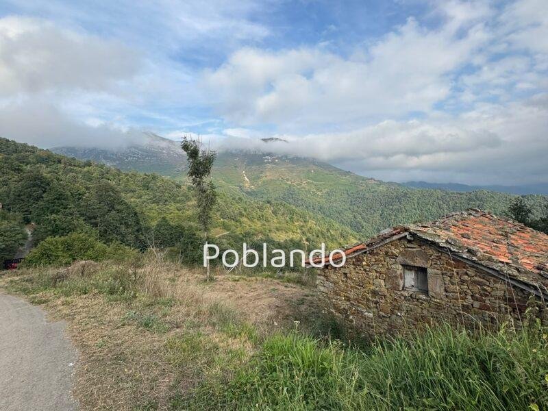 Finca en Quirós, foto 12