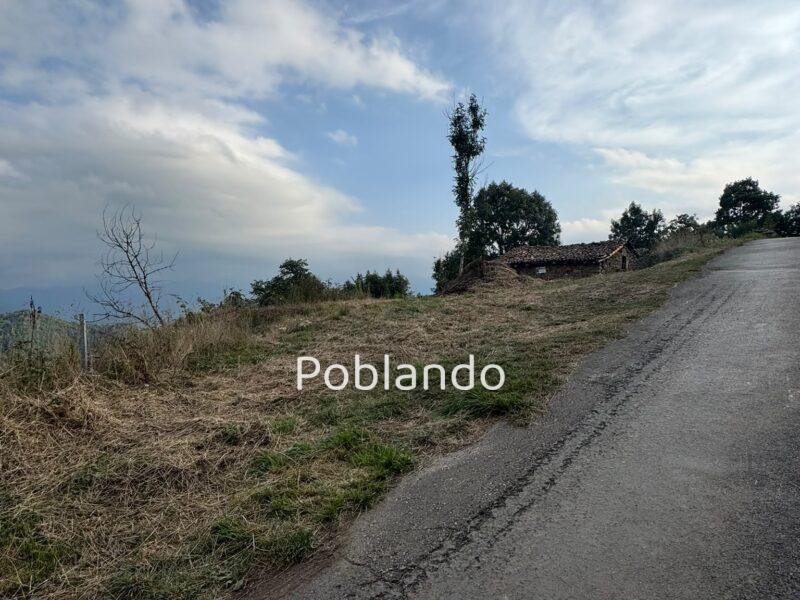 Cabaña de Piedra con Finca de 6.500 m² en Quirós